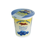 Blueberry Yogurt - Longley Farm
