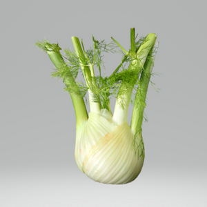 Fennel