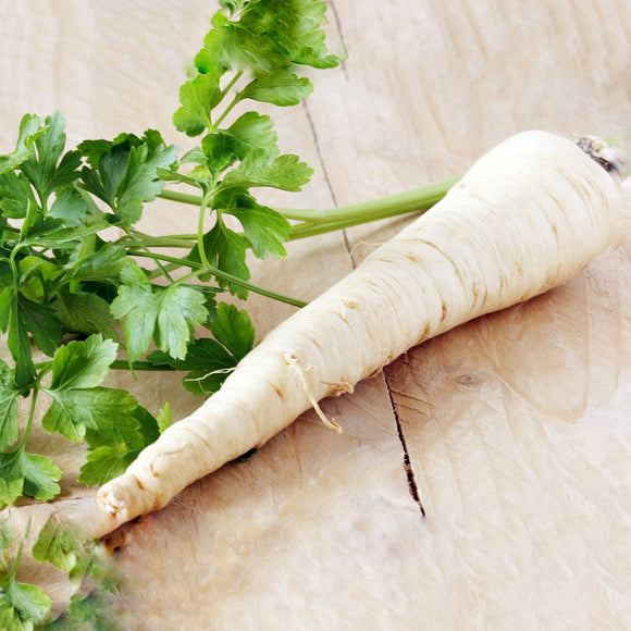 Parsnip by Anna Sulencka from Pixabay 