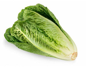 Romaine Lettuce